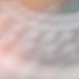 Meet your Posher, Evie lynne